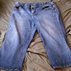 Size 18 Capri Lane bryant